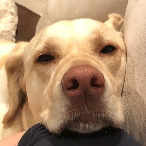 Meet your Posher, Nancy